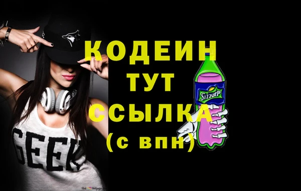 apvp Вяземский