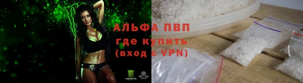 прущие грибы Бугульма
